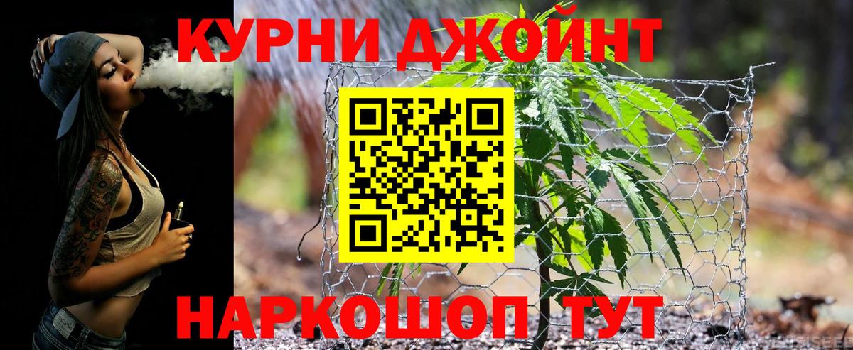 МАРИХУАНА планчик Дубна